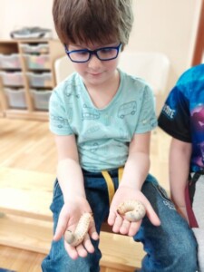 Chłopiec trzyma na dłoni chrząszcza