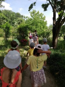 Dzieci idą po zielonym ogrodzie trzymając się za ręce w parach