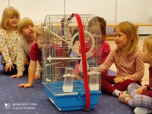 Sześcioro dzieci z zaciekawieniem ogląda papugę w klatce.